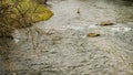 Fishing on the Smith River